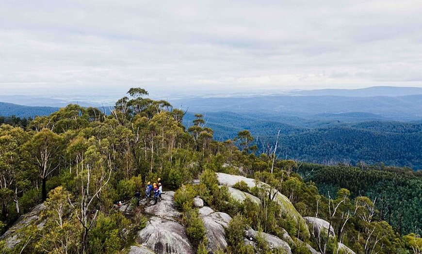 Image 5: Yarra Valley Seven Acre Rock Abseiling Adventure