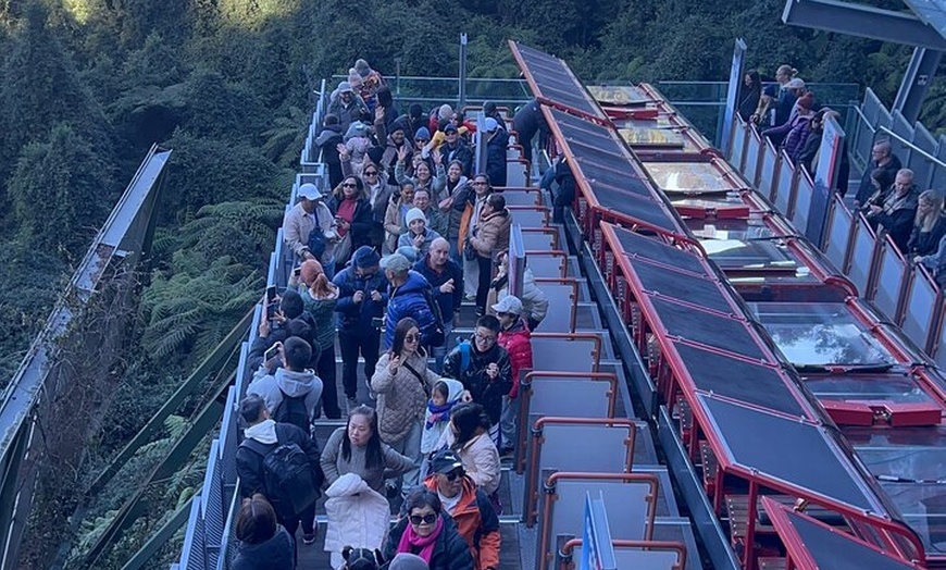 Image 12: Blue Mountains Private Tours Sydney Zoo or Scenic world Options