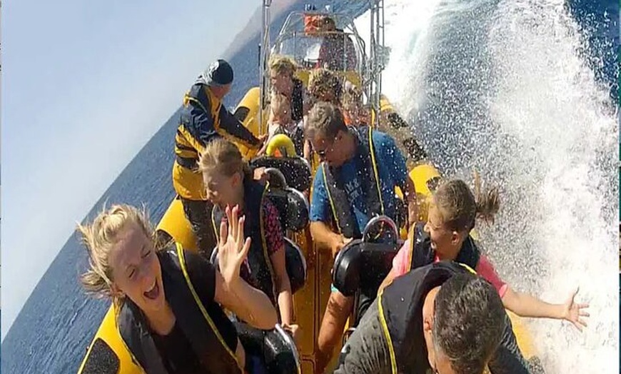 Image 11: Safari marino Delfines en su hábitat natural