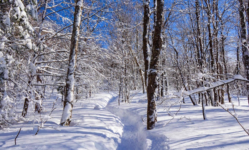 Image 8: ✈ QUÉBEC | Montréal - Merveilles Hivernales au Québec 3* - Circuit