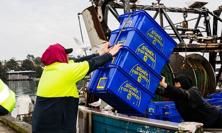 Image 6: Sunset Sydney Fish Market Tour