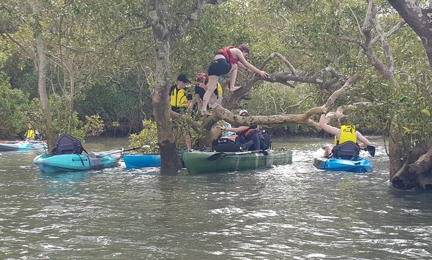 Image 4: Guided Kayak Adventure Tour