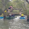 Image 4: Guided Kayak Adventure Tour