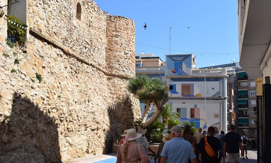 Image 4: Desde Albir y Benidorm Calpe Casco Antiguo y Puerto en Autobús