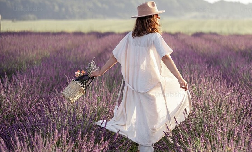 Image 12: L'Occitane, Moustiers & Verdon d'Aix en Provence