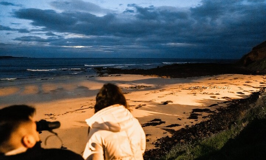Image 8: Bunurong Coast and Penguin Parade Private Tour