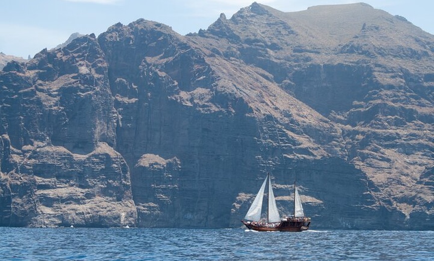 Image 3: Safari de ballenas hasta Los Gigantes con recogida desde Norte
