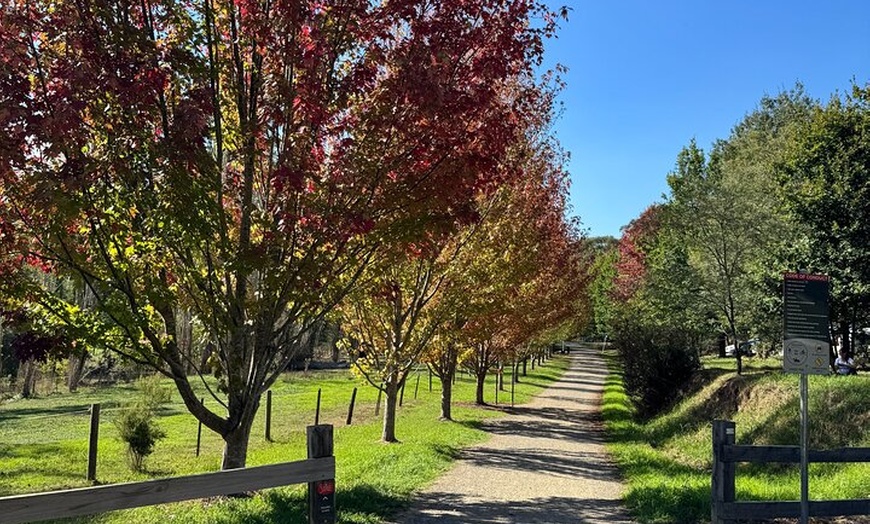 Image 6: Yarra Valley Foodie Tour, Devonshire Tea, Cheese and Chocolate