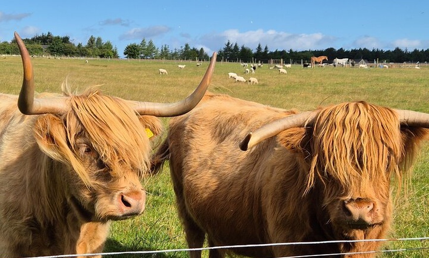 Image 4: Loch Ness Private Tour 360" Cawdor Castle and Cul. Battlefield