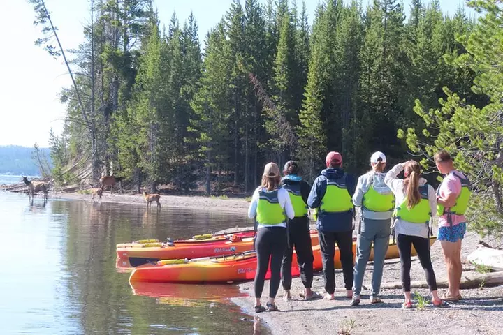 4-Hour Kayak on Yellowstone Lake with Lunch