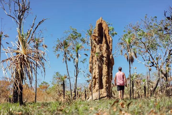 Litchfield National Park Waterfalls & Wildlife Adventure Tour