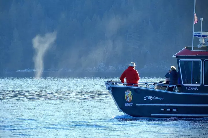 Salish Sea Whale Watching Tour in Campbell River - Primary Image