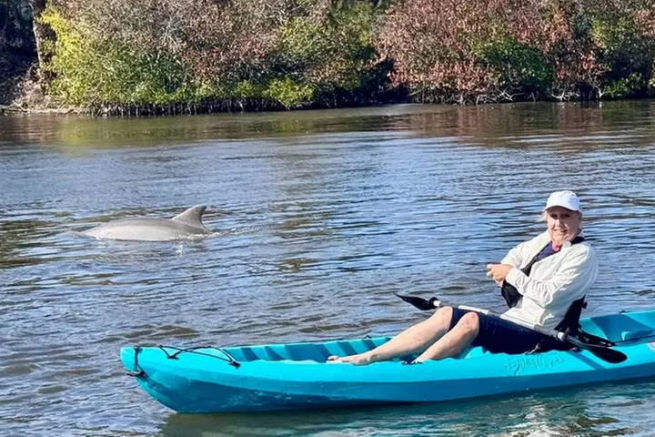 Dolphin and Manatee Kayak Tour of Daytona Beach