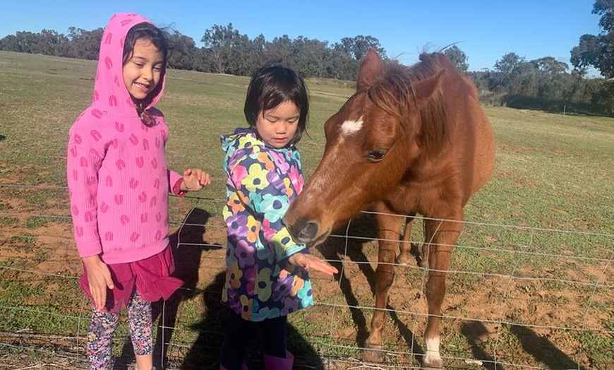 Image 15: Boshack Farm - Animal, Wildlife, Stargazing Nature Aussie culture