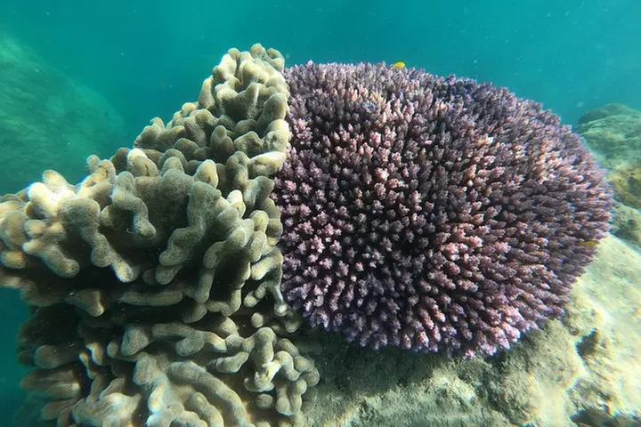 Whitehaven Beach Tour: 2 Options - All Day Beach Or Snorkel