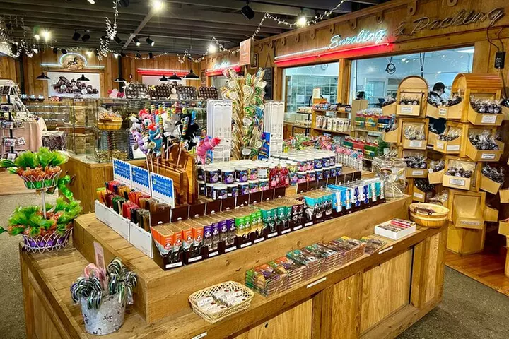 Anchorage City Tour, w/Choc Factory Samplings