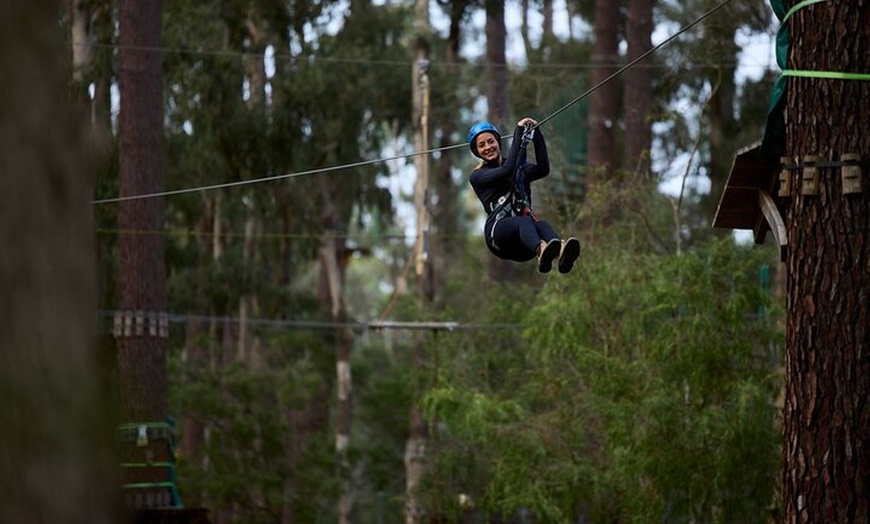 Image 7: Forest Adventures