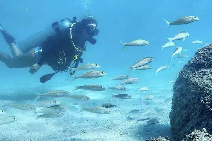 Beginner Scuba Diving Adventure with Videos in Honolulu