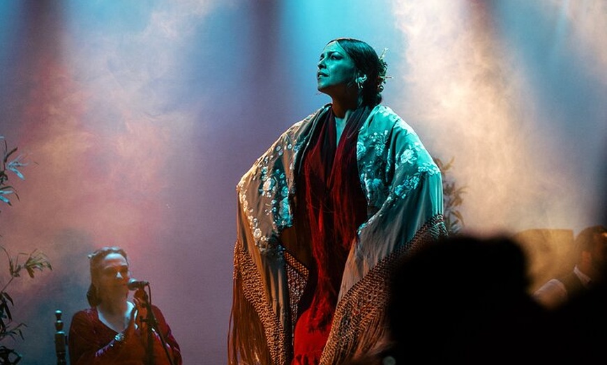 Image 6: Entrada al espectáculo flamenco en el Teatro Ayuntamiento de Barcelona