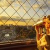 Image 4: Le meilleur de Paris : Tour Eiffel Summit Floor & Sight Seeing Tour
