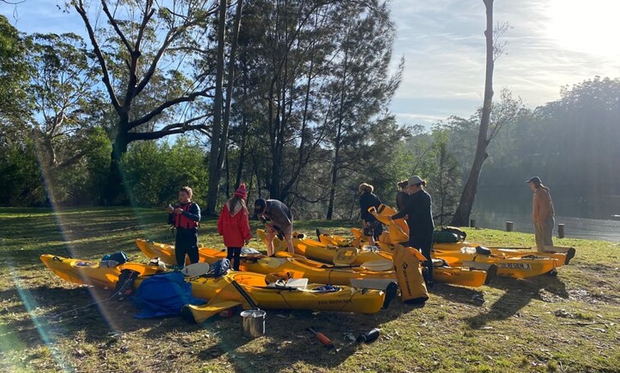 Image 8: 3 Day Guided Kayak Camping Adventure on the Clyde River