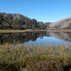 Image 1: Experience Mt Buffalo Hikes Waterfalls and Scenic Views
