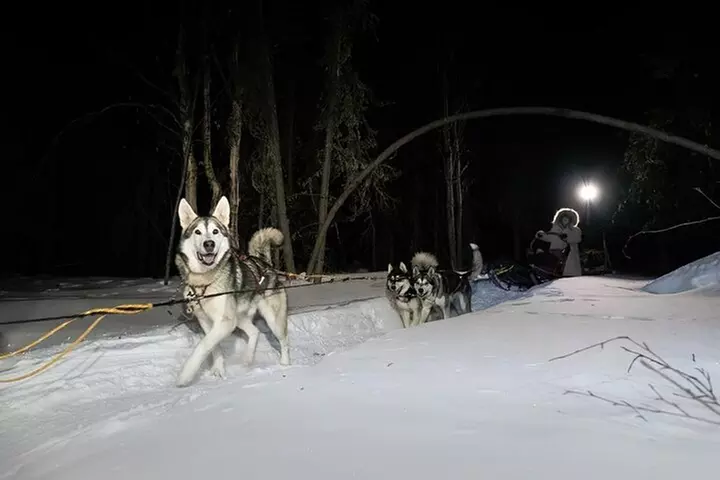 Sledding and Homesteading Adventure