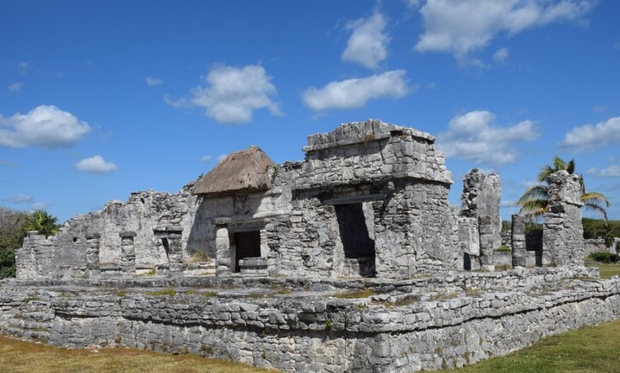 Image 13: Tulum Ruins, Sea Turtles & Cenote Swim Adventure Tour