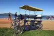 San Francisco: Surrey Ride Along the Scenic Marina Waterfront - Second Medium