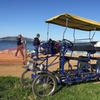 Image 4: San Francisco: Surrey Ride Along the Scenic Marina Waterfront