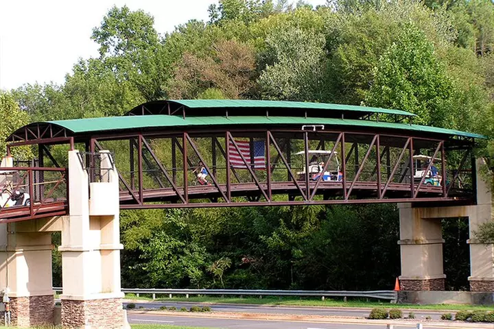 Magical Golf Cart Tour Through Peachtree City Trails