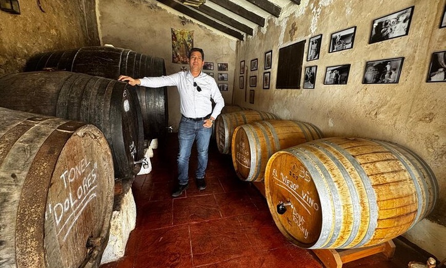 Image 20: Alicante; Recorrido Vinícola Bodega Cata Vinos, Comida y Traslado