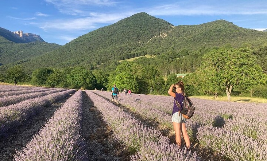 Image 1: Randonnée Familiale dans les Champs de Lavande du Vercors