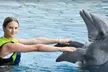 $89.99 For A Dolphin Encounter (Reg. $179.99) - Second Medium