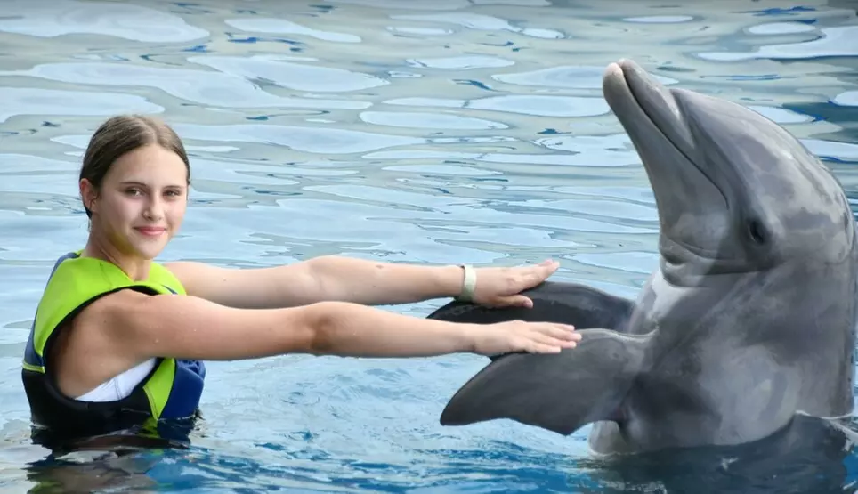 $89.99 For A Dolphin Encounter (Reg. $179.99)