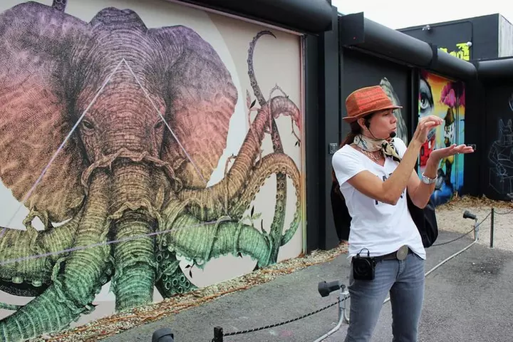 Wynwood Food & Art Tour - exclusive access to the Wynwood Walls