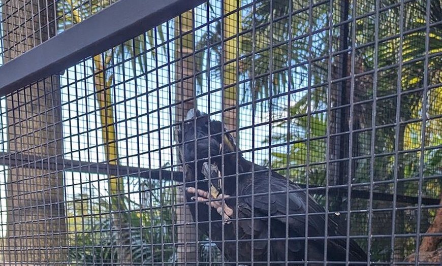 Image 2: Wollongong Sightseeing Guided Day Tour