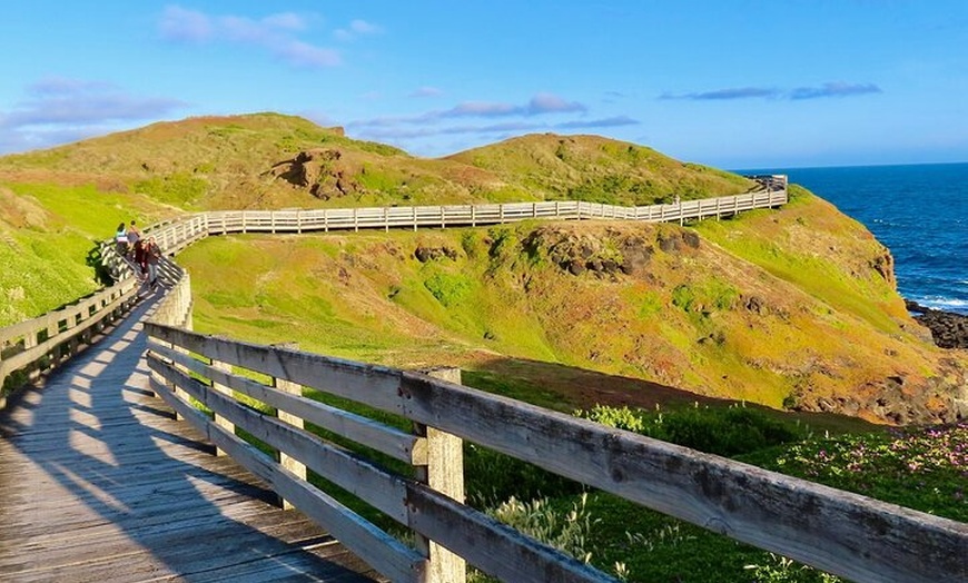 Image 13: Phillip Island Penguin Parade and Wildlife Tour from Melbourne