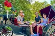 VIP Central Park Experience Tour with photos 50min~Skip the line - Second Medium