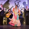 Image 3: Entrada al espectáculo flamenco de Los Gallos
