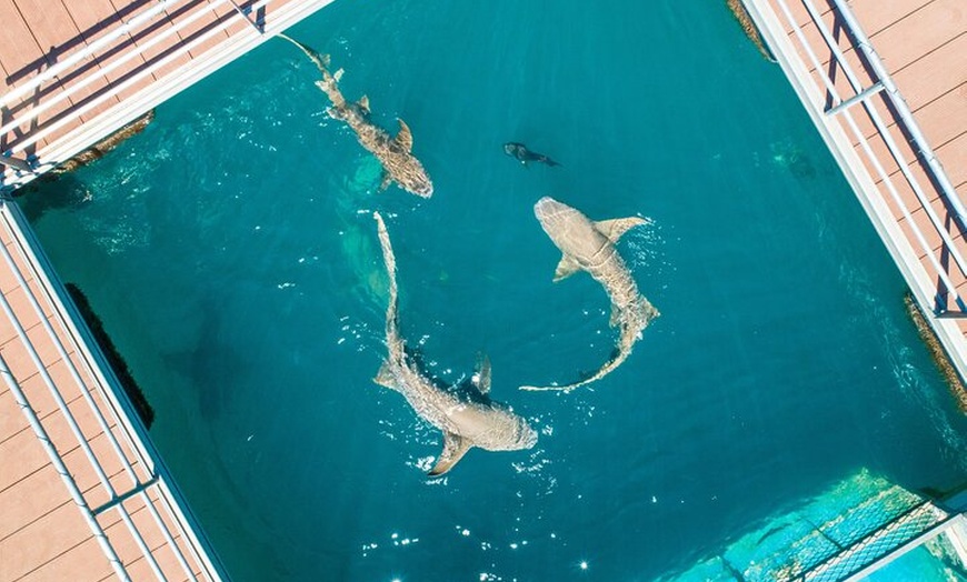 Image 6: Horizontal Falls Helicopter Adventure from Broome