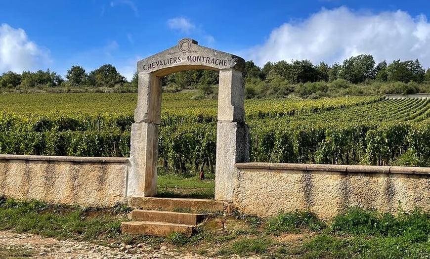 Image 2: Excursion privée d'une journée en Bourgogne : Côte DE Beaune & Côte...