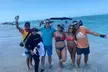 2.5 Hour Shell Key Island Adventure Including Dolphins And Shells - Second Medium