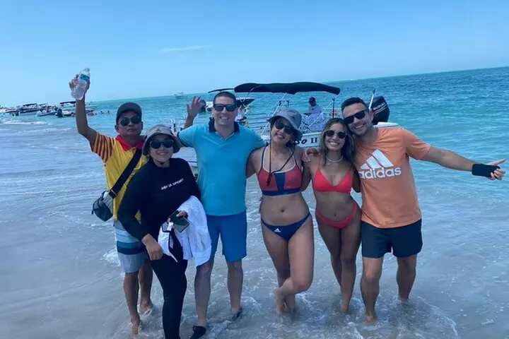 2.5 Hour Shell Key Island Adventure Including Dolphins And Shells