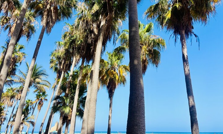 Image 14: Visita guiada en grupo reducido : La Pared, laguna de Sotavento & M...