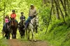 3.5 mi. Horseback Trail Ride