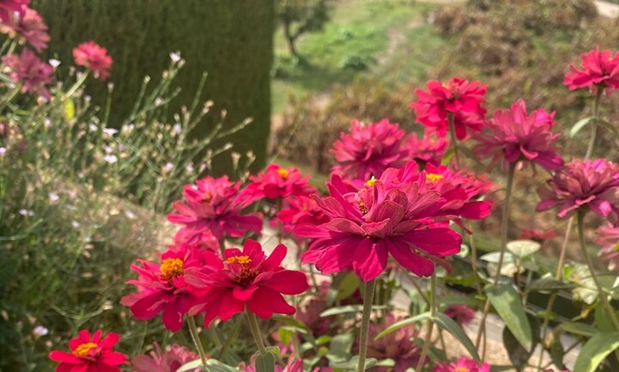 Image 14: Entradas de La Alhambra con Palacios Nazaríes +Tren Turístico