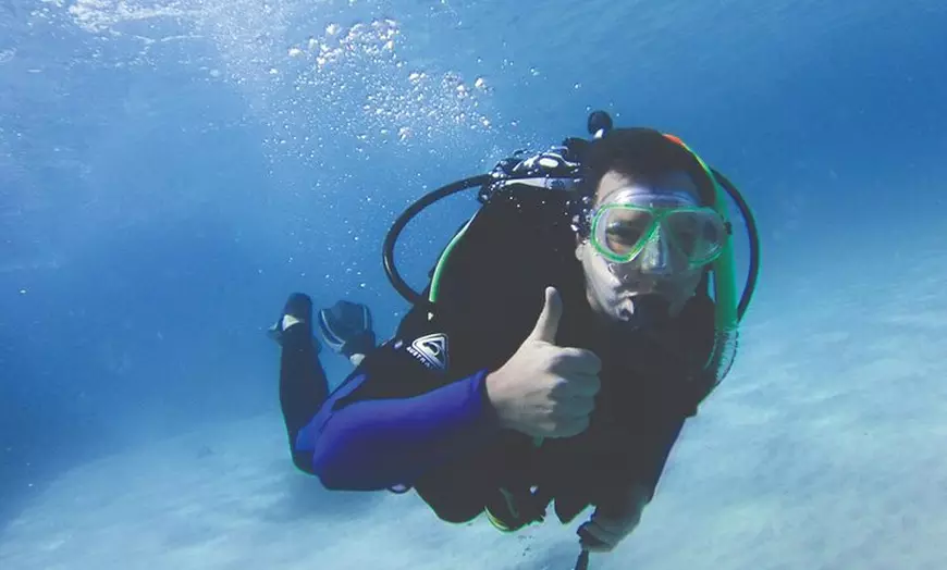 Image 5: Adventure Moreton Island Scuba Dive Tour