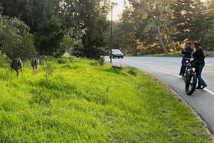 Full Day, Monterey Peninsula, 17 Mile Dr and Carmel eBike Rental