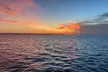 Island Sunset Cruise 2 Hour Catamaran Tour in Marathon Florida - Second Medium